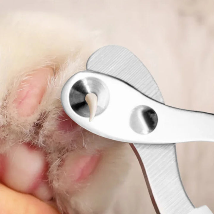 Premium Pet Nail Clippers for Small Dogs & Cats