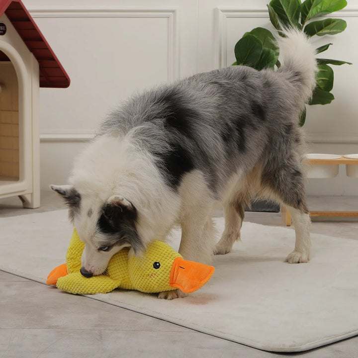 HOOPET Duck Chew Sounding Toy