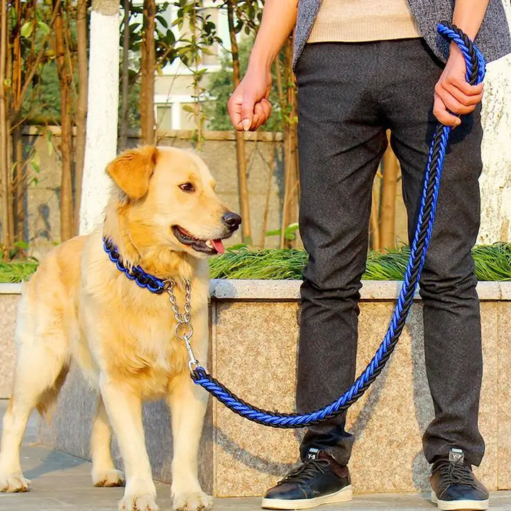 Double Strand Leash