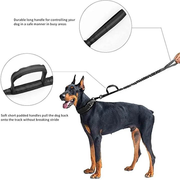 Tactical Dog Leash Set