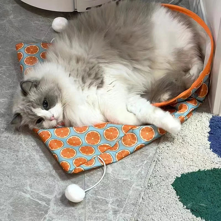 Interactive Cat Tunnel Toy