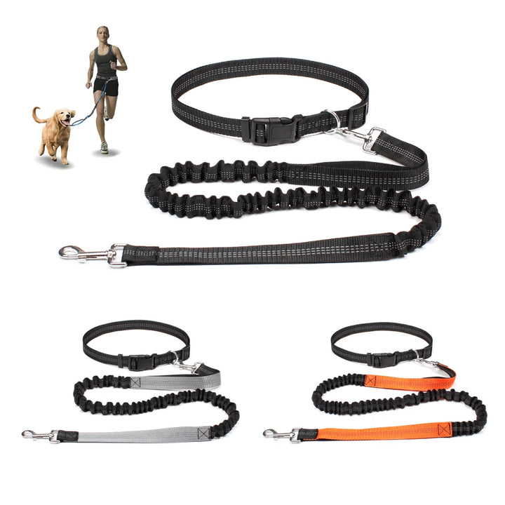 FreeWalk Adjustable Dog Leash