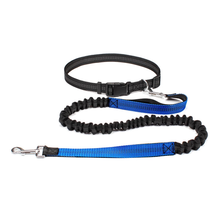 FreeWalk Adjustable Dog Leash