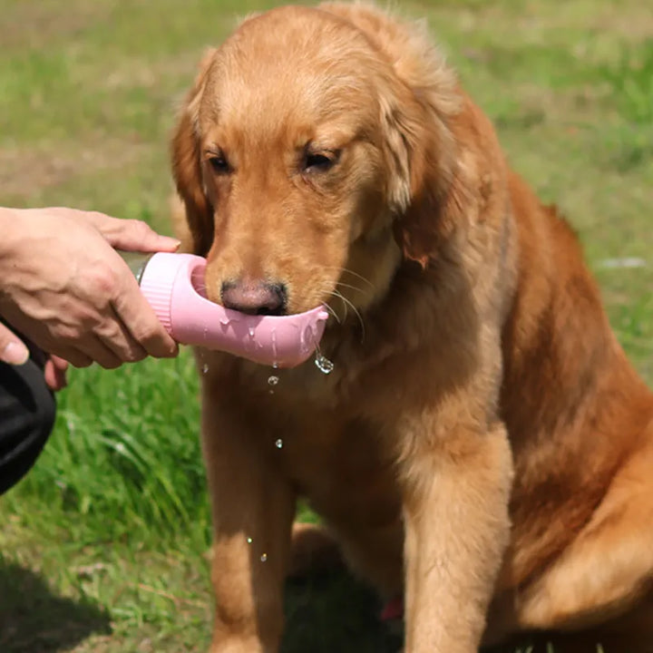 Pet Portable Bottle