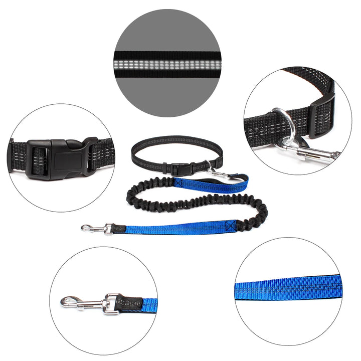 FreeWalk Adjustable Dog Leash