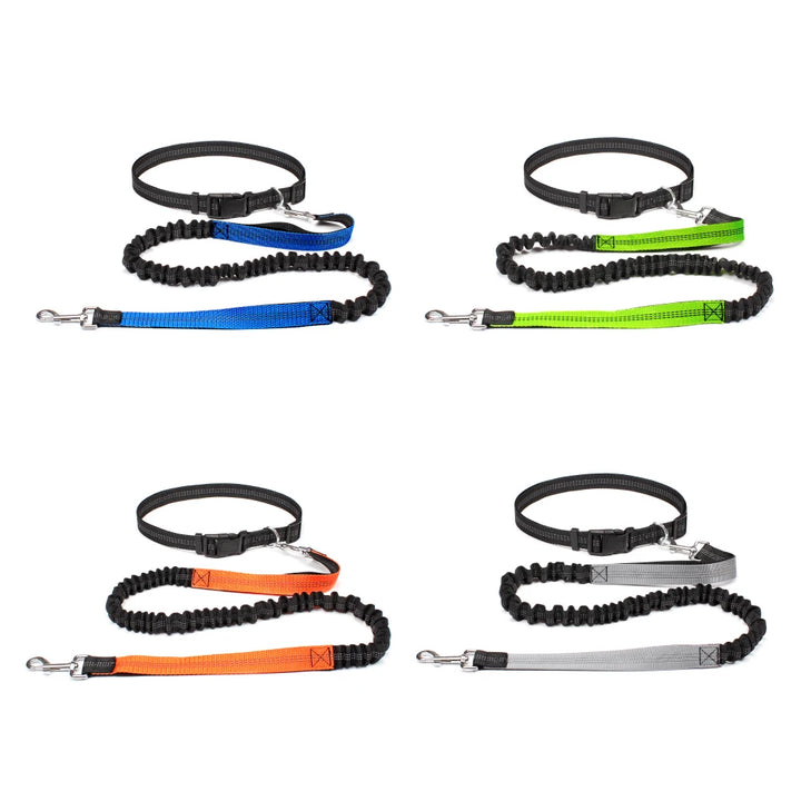 FreeWalk Adjustable Dog Leash