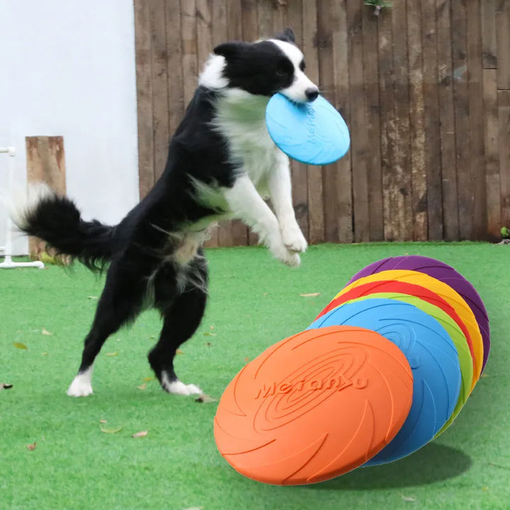 Bite Flying Disc Toy