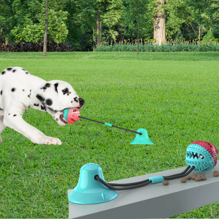 Suction Cup Dog Toy: Interactive Slow Feeder